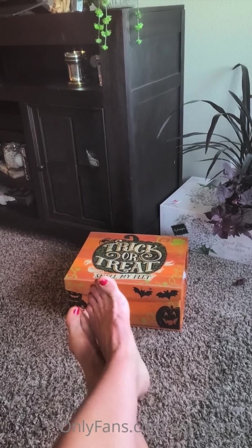 Goddess Zephy - zephianna Onlyfans Zephianna - goddess feet just need a slave down there to lick them for me 06-10-2020 - SiteRip